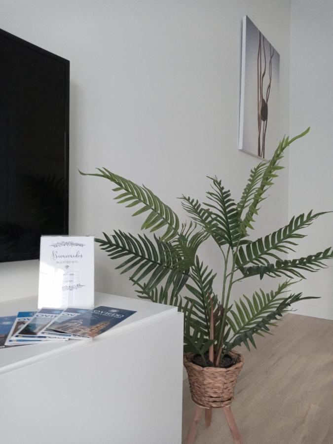 Apartment La Terraza De La Vega - Ubicacion Inmejorable , Wifi , Terraza Y Parking Gratuito Oviedo