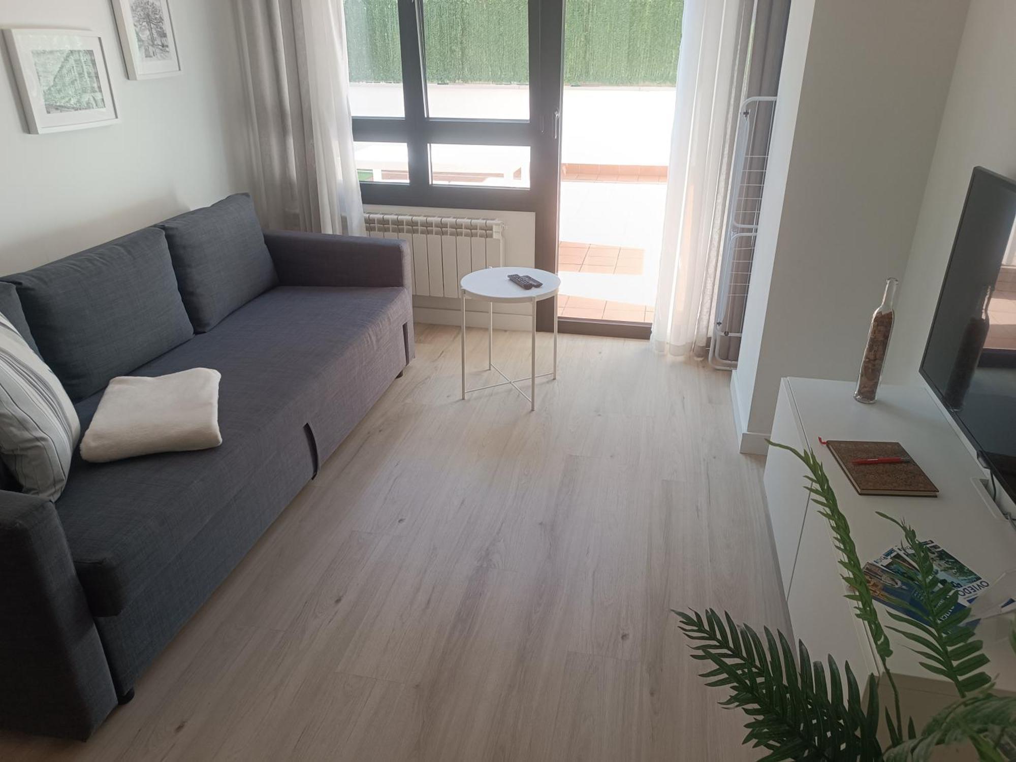 La Terraza De La Vega - Ubicacion Inmejorable , Wifi , Terraza Y Parking Gratuito * Oviedo